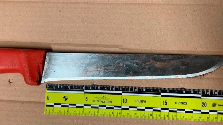 Seminò il terrore al McDonald’s della stazione di Ravenna con un coltello da macellaio: condannato Seminò il terrore al McDonald’s della stazione di Ravenna con un coltello da macellaio: condannato
