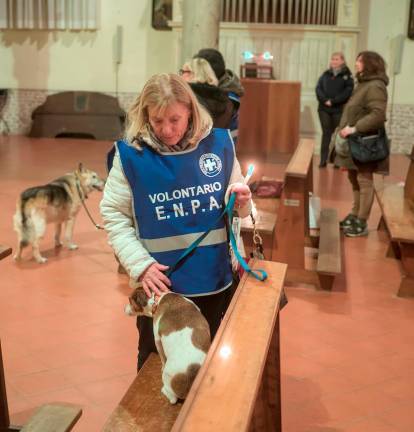 Ravenna, la benedizione degli animali a Sant’Antonio Abate - Gallery Ravenna, la benedizione degli animali a Sant’Antonio Abate - Gallery