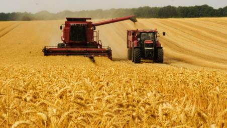 Agricoltura. De Castro: «Stop al grano russo in Europa, rafforziamo la nostra produzione»