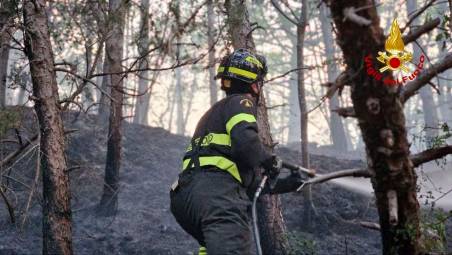 Incendio nella notte nel bosco di Santa Sofia, difficile intervento per il forte vento FOTO VIDEO