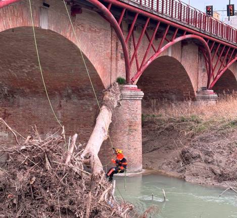 Cesena, i fratelli boscaioli di Piavola tornano in tv: il cantiere del Ponte Nuovo nella nuova stagione di “Undercut” Cesena, i fratelli boscaioli di Piavola tornano in tv: il cantiere del Ponte Nuovo nella nuova stagione di “Undercut”