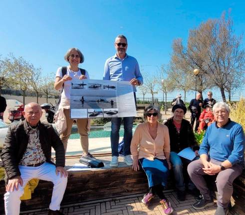 Rimini, una balena disegnata sulla spiaggia a ricordo dello spiaggiamento del 1943 - Gallery Rimini, una balena disegnata sulla spiaggia a ricordo dello spiaggiamento del 1943 - Gallery