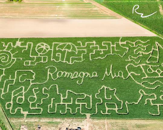 Il labirinto dell’agriturismo Podere Salmastro a Sala di Cesenatico Il labirinto dell’agriturismo Podere Salmastro a Sala di Cesenatico
