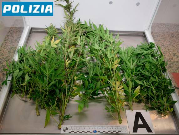 Forlì, blitz antidroga in centro e a Vecchiazzano: tre denunce e sequestrato oltre un chilo di stupefacenti Forlì, blitz antidroga in centro e a Vecchiazzano: tre denunce e sequestrato oltre un chilo di stupefacenti