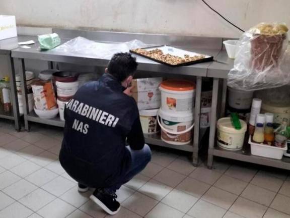 Cervia, “cucina troppo sporca”: i Nas chiudono un noto ristorante del centro Cervia, “cucina troppo sporca”: i Nas chiudono un noto ristorante del centro
