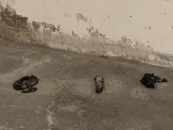 Nuovo degrado nel parcheggio sotto al cubo scolastico di Cesena Nuovo degrado nel parcheggio sotto al cubo scolastico di Cesena