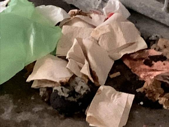 Nuovo degrado nel parcheggio sotto al cubo scolastico di Cesena Nuovo degrado nel parcheggio sotto al cubo scolastico di Cesena