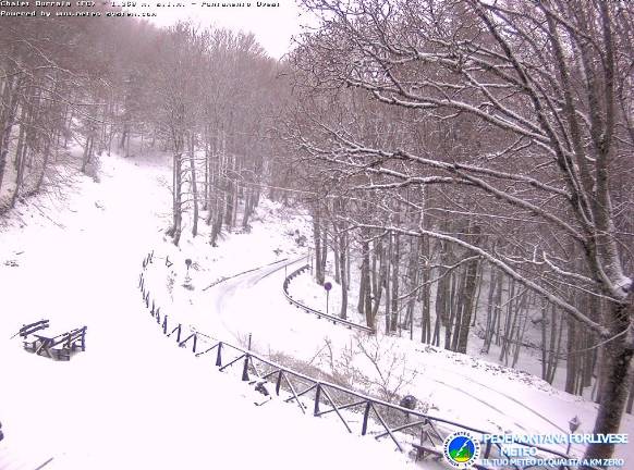Lo Chalet Burraia a Campigna Lo Chalet Burraia a Campigna