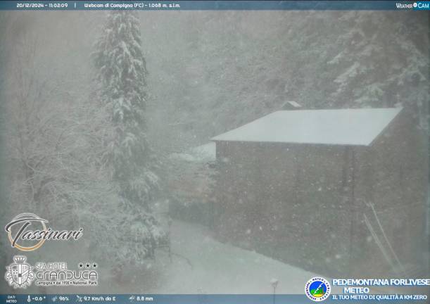 Campigna sotto la neve Campigna sotto la neve