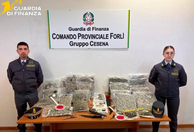 Cesena, erba di casa sua: in cantina aveva 13 chili di marijuana, 30enne arrestato Cesena, erba di casa sua: in cantina aveva 13 chili di marijuana, 30enne arrestato