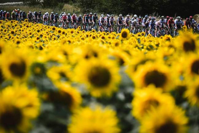 Tour de France a Ravenna: il percorso e le regole per il traffico domenica 30 giugno Tour de France a Ravenna: il percorso e le regole per il traffico domenica 30 giugno