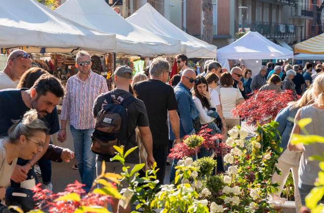 “Cattolica in fiore”: domenica il gran finale “Cattolica in fiore”: domenica il gran finale