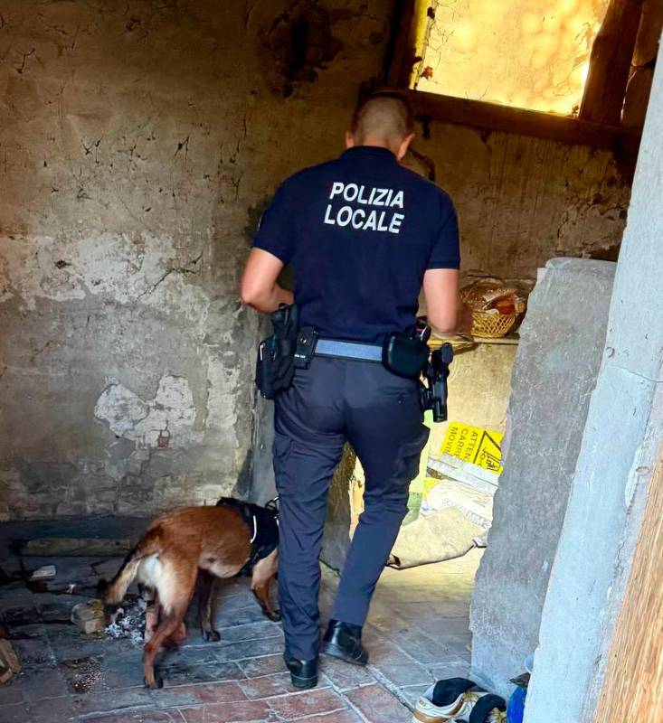 Savignano, lotta all’occupazione abusiva, la Polizia locale ai proprietari: “Chiudete gli accessi degli immobili in disuso” Savignano, lotta all’occupazione abusiva, la Polizia locale ai proprietari: “Chiudete gli accessi degli immobili in disuso”