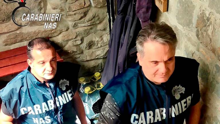 Roditori, merce scaduta, animali sul piano di lavoro: rifugi dell’Appennino emiliano-romagnolo bocciati dai Nas, sospese 4 attività di ristoro Roditori, merce scaduta, animali sul piano di lavoro: rifugi dell’Appennino emiliano-romagnolo bocciati dai Nas, sospese 4 attività di ristoro