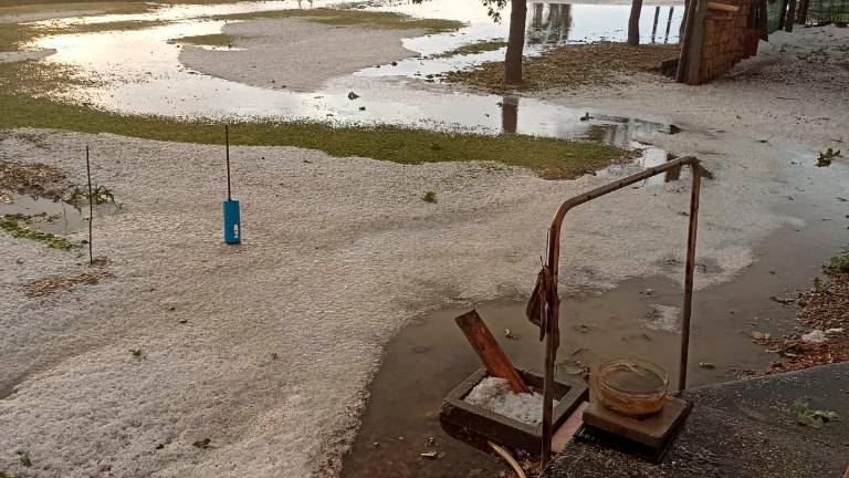 Pioggia forte e grandine, allagamenti nella zona fra Lugo e Imola VIDEO Pioggia forte e grandine, allagamenti nella zona fra Lugo e Imola VIDEO