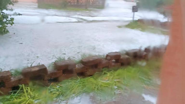 Pioggia forte e grandine, allagamenti nella zona fra Lugo e Imola VIDEO Pioggia forte e grandine, allagamenti nella zona fra Lugo e Imola VIDEO