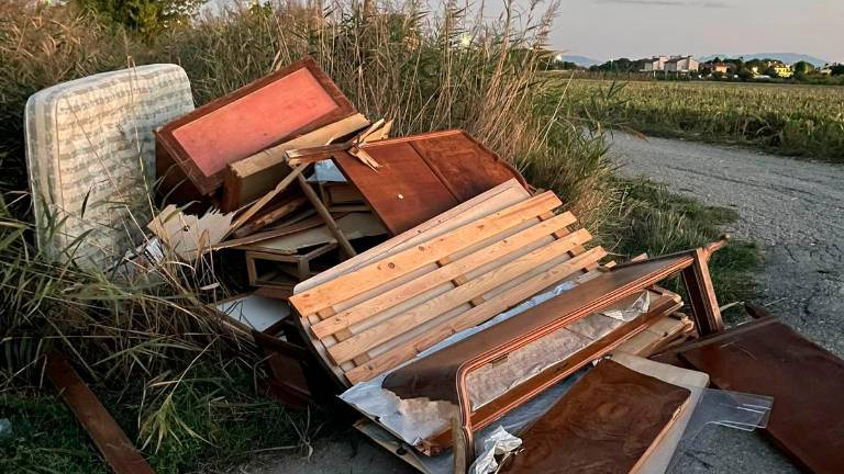 I mobili abbandonati in via Curiel a Cesenatico I mobili abbandonati in via Curiel a Cesenatico