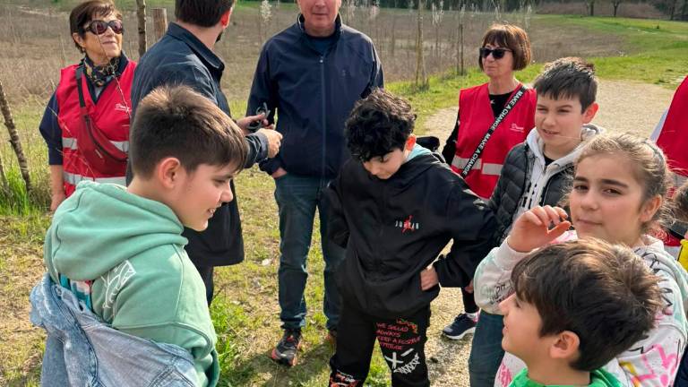 Fusignano, ecco il “guerrilla gardening”: lanciano bombe di semi per la crescita libera degli alberi - Gallery Fusignano, ecco il “guerrilla gardening”: lanciano bombe di semi per la crescita libera degli alberi - Gallery
