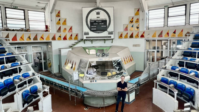 Cesenatico, 860mila euro di contributi per i lavori al mercato ittico all'ingrosso Cesenatico, 860mila euro di contributi per i lavori al mercato ittico all'ingrosso