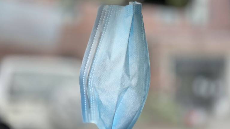 Test coronavirus per il personale scolastico in Romagna: ecco come Test coronavirus per il personale scolastico in Romagna: ecco come
