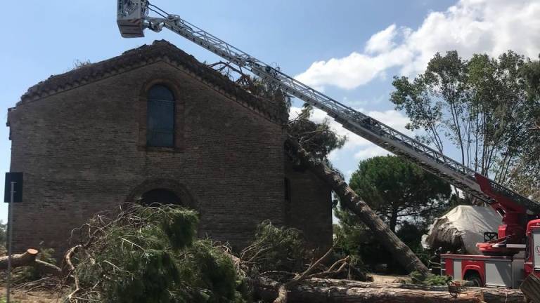 Chiesa della Madonna del pino di Cervia: rimossi gli alberi caduti sull'edificio durante le raffiche di vento Chiesa della Madonna del pino di Cervia: rimossi gli alberi caduti sull'edificio durante le raffiche di vento