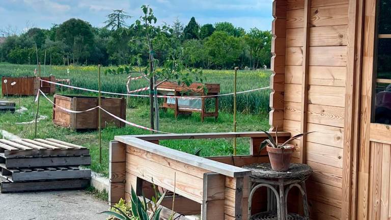 Cesena, un orto-giardino terapeutico per fare rifiorire persone fragili