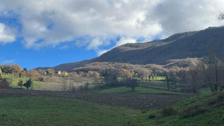 Pennabilli, lavori dopo la frana a costo zero per il Comune Pennabilli, lavori dopo la frana a costo zero per il Comune