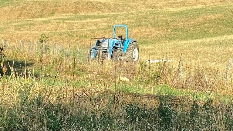 Sarsina, si ribalta col trattore e muore 38enne Sarsina, si ribalta col trattore e muore 38enne
