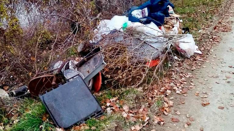 Imola, sgombera i locali e lascia due cumuli di rifiuti e un frigorifero nei campi: beccato e denunciato - Gallery Imola, sgombera i locali e lascia due cumuli di rifiuti e un frigorifero nei campi: beccato e denunciato - Gallery