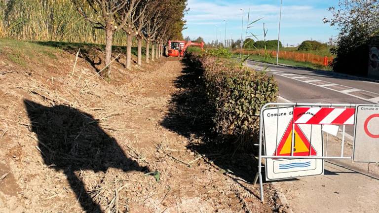 Cesena, lavori di ripristino sulla ciclabile del savio e in di via Machiavelli - Gallery Cesena, lavori di ripristino sulla ciclabile del savio e in di via Machiavelli - Gallery