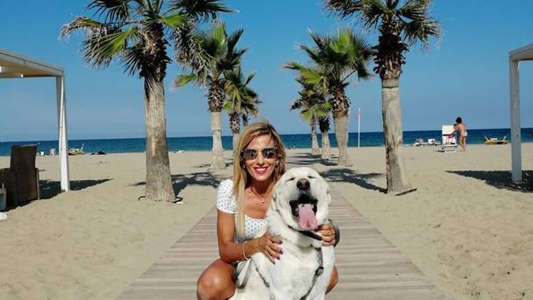 Rimini. In troppi rinunciano al cane adottato in canile Rimini. In troppi rinunciano al cane adottato in canile