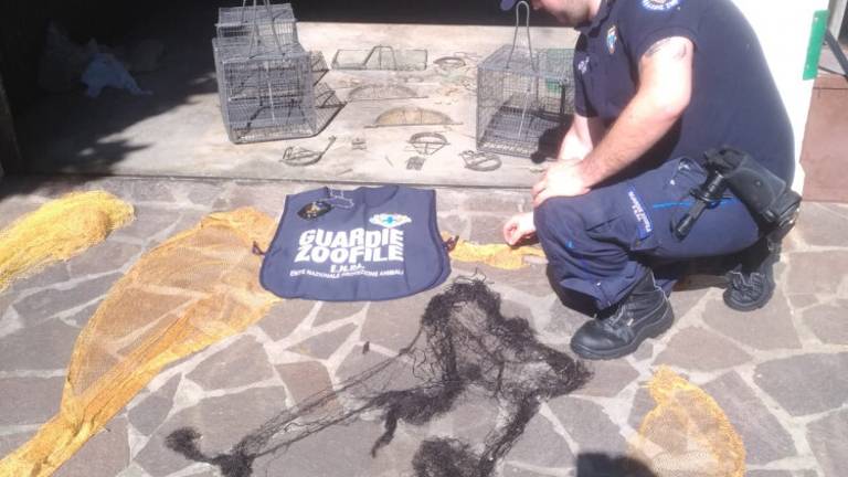 Sequestrate a Cesena reti e gabbie per uccelli: maxi multe Sequestrate a Cesena reti e gabbie per uccelli: maxi multe
