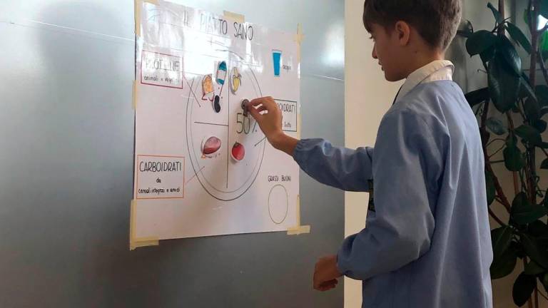 Rimini, “Scuola con Gusto”: al via il progetto del Caar dedicati ai più giovani - Gallery Rimini, “Scuola con Gusto”: al via il progetto del Caar dedicati ai più giovani - Gallery