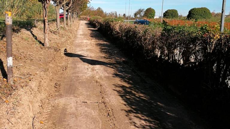 Cesena, lavori di ripristino sulla ciclabile del savio e in di via Machiavelli - Gallery Cesena, lavori di ripristino sulla ciclabile del savio e in di via Machiavelli - Gallery