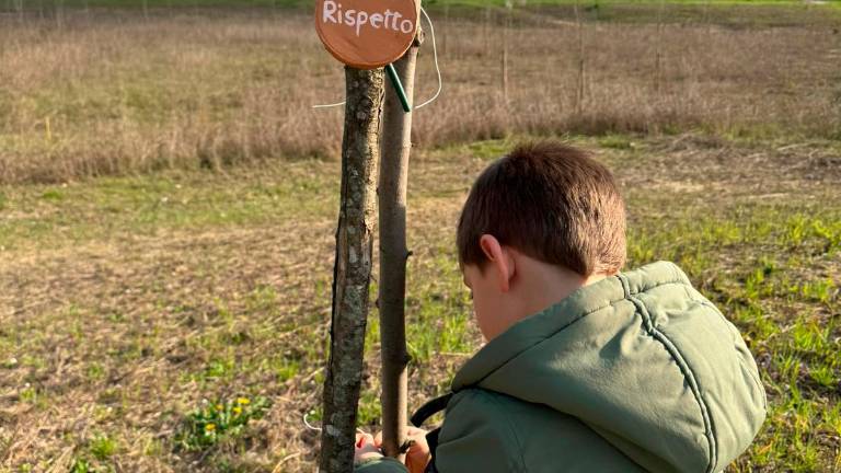 Fusignano, ecco il “guerrilla gardening”: lanciano bombe di semi per la crescita libera degli alberi - Gallery Fusignano, ecco il “guerrilla gardening”: lanciano bombe di semi per la crescita libera degli alberi - Gallery