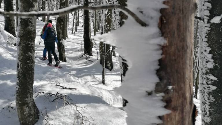 Stremato dopo 28 km di escursione sulla neve: Soccorso Alpino per un 47enne di Santa Sofia Stremato dopo 28 km di escursione sulla neve: Soccorso Alpino per un 47enne di Santa Sofia