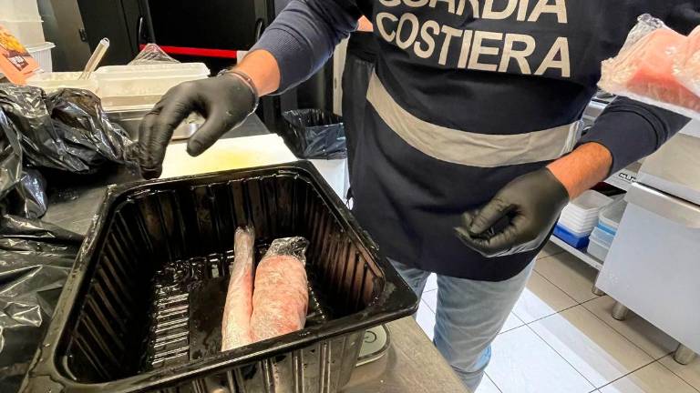 Pulisce il tonno per strada e il video diventa virale: la Guardia Costiera di Ravenna sequestra il pesce del ristorante etnico di Bologna VIDEO Pulisce il tonno per strada e il video diventa virale: la Guardia Costiera di Ravenna sequestra il pesce del ristorante etnico di Bologna VIDEO