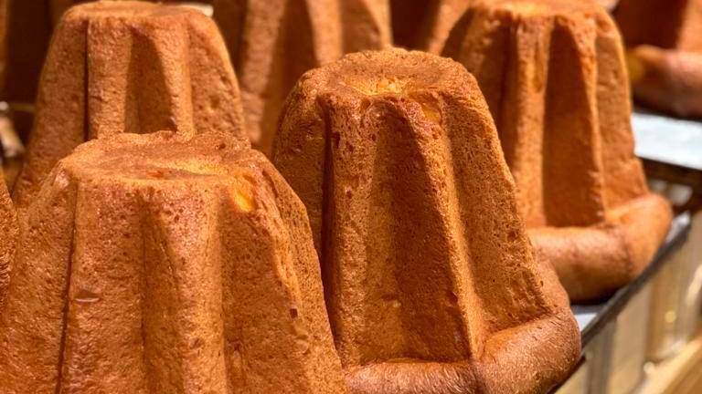 Il panettone artigianale non sente la crisi nonostante gli aumenti e c’è un buon ritorno del pandoro Il panettone artigianale non sente la crisi nonostante gli aumenti e c’è un buon ritorno del pandoro