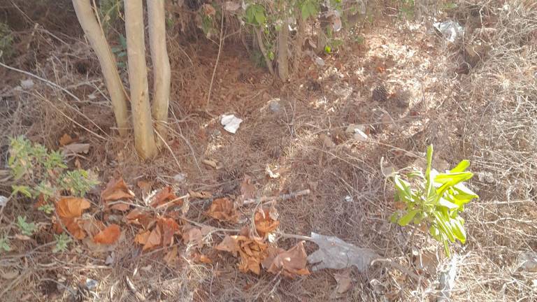 La denuncia dei residenti: La stazione di Viserba è ridotta a una giungla La denuncia dei residenti: La stazione di Viserba è ridotta a una giungla
