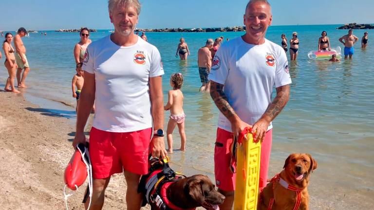 Ravenna, salvataggio in mare a quattro zampe: il test a Lido di Savio Ravenna, salvataggio in mare a quattro zampe: il test a Lido di Savio