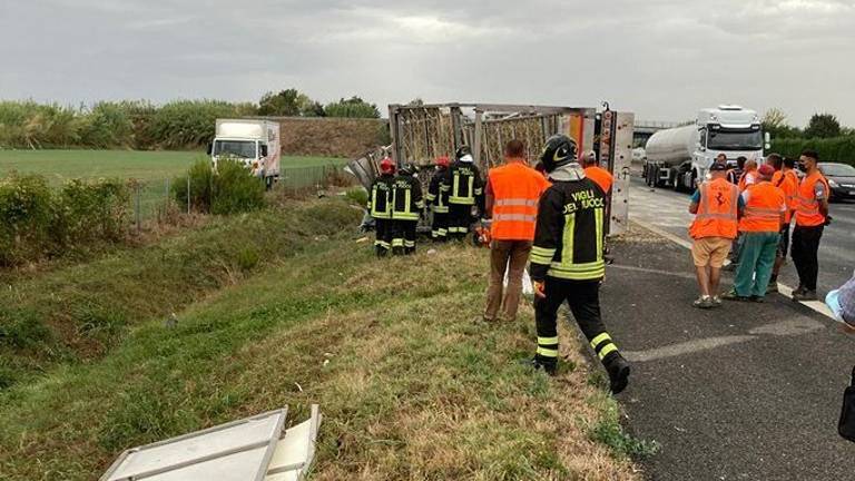 Scontro tra camion: carico di paglia e pollame riversato in Autostrada Scontro tra camion: carico di paglia e pollame riversato in Autostrada