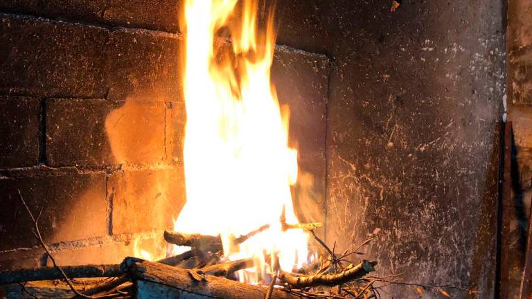 Confagricoltura Forlì-Cesena e Rimini: camini e stufe spente, manca il 25% della legna da ardere Confagricoltura Forlì-Cesena e Rimini: camini e stufe spente, manca il 25% della legna da ardere