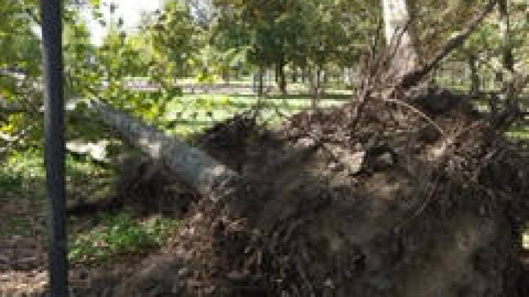 Maltempo a Cesenatico, il Comune: Danni per un milione di euro Maltempo a Cesenatico, il Comune: Danni per un milione di euro