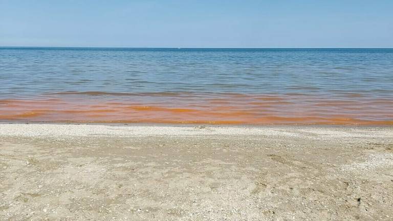 Rimini. L'alga arancione illumina la costa di notte Rimini. L'alga arancione illumina la costa di notte