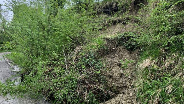Brisighella, come un terremoto: Abbiamo 100 frane, ci serve aiuto - Gallery Brisighella, come un terremoto: Abbiamo 100 frane, ci serve aiuto - Gallery