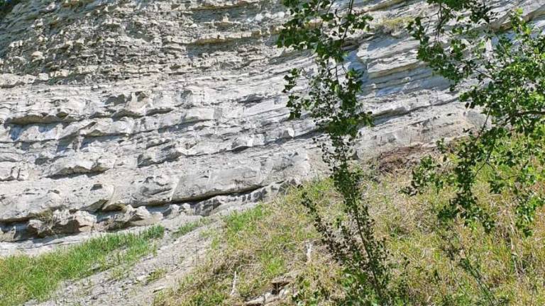 Casola Valsenio, 54enne muore schiacciato dal trattore Casola Valsenio, 54enne muore schiacciato dal trattore