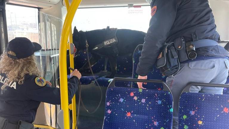 Rimini. Polizia, Barack trova 11 grammi di hashish su un bus Rimini. Polizia, Barack trova 11 grammi di hashish su un bus