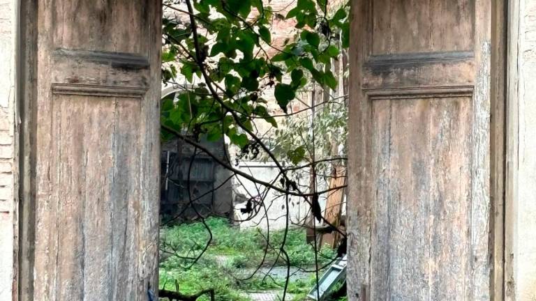 Imola, crollo interno nell’ex Macello in disuso da anni Imola, crollo interno nell’ex Macello in disuso da anni