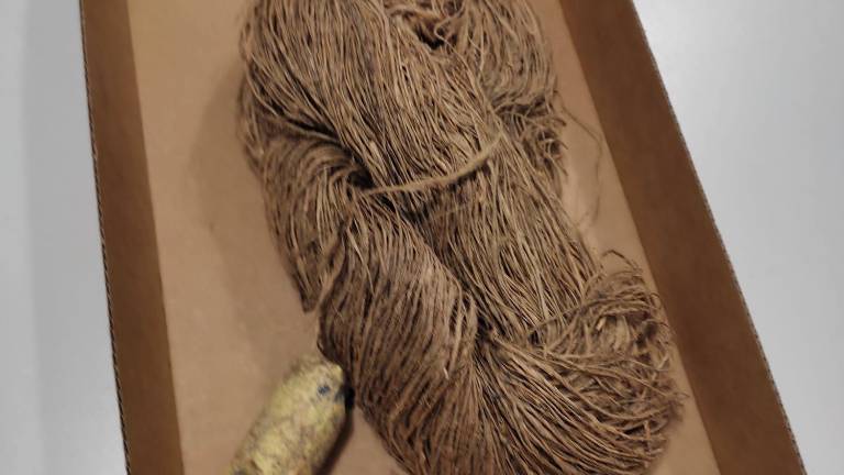 Rimini. Sale sulla soffitta della nonna e trova la cassa da marinaio del trisavolo dell’Ottocento VIDEO GALLERY Rimini. Sale sulla soffitta della nonna e trova la cassa da marinaio del trisavolo dell’Ottocento VIDEO GALLERY