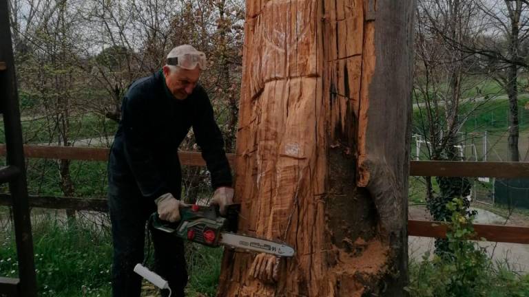 Rimini, Roblas, il re del legno: così gli alberi morti diventano opere d’arte Rimini, Roblas, il re del legno: così gli alberi morti diventano opere d’arte